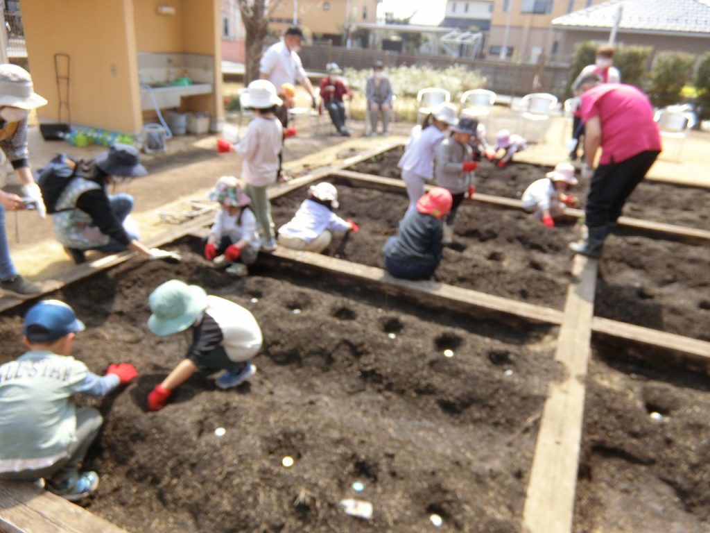 栃木県宇都宮市-養護老人ホーム-アオーラ而今-じゃがいも植え-01
