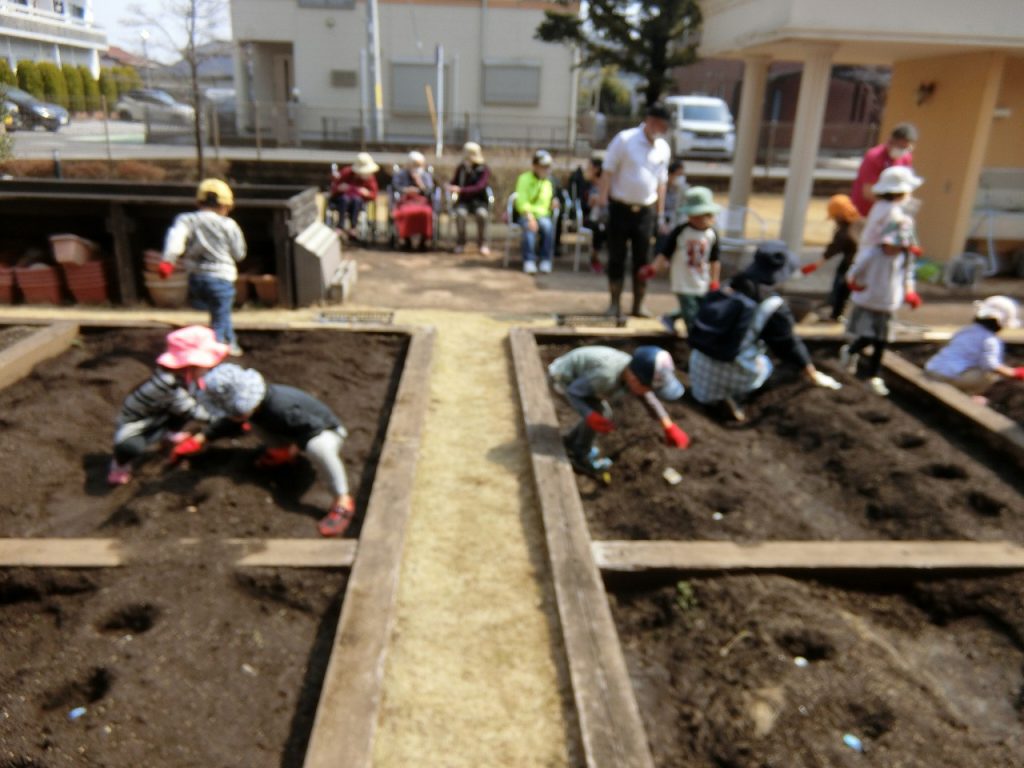 栃木県宇都宮市-養護老人ホーム-アオーラ而今-じゃがいも植え-02