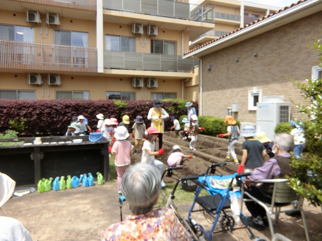 栃木県宇都宮市-養護老人ホーム-アオーラ而今-さつまいも植え-2