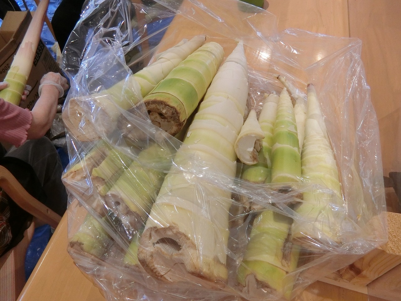 栃木県宇都宮市-養護老人ホーム-アオーラ而今-タケノコと梅-2
