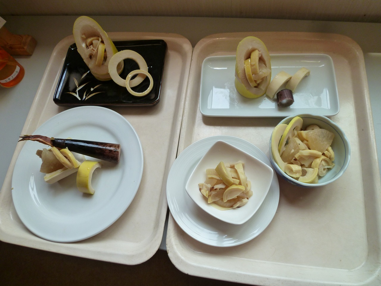 栃木県宇都宮市-養護老人ホーム-アオーラ而今-タケノコと梅-6