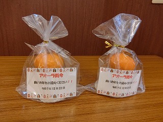 栃木県宇都宮市-養護老人ホーム-アオーラ而今-年末恒例もちつき-06