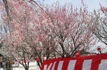 🍀4月特別メニューの紹介🍀