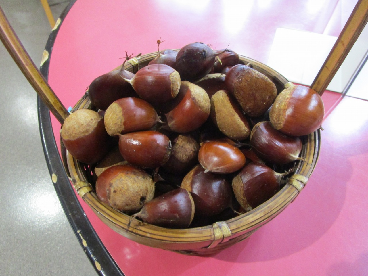 栗拾い | 特養 にこんきつれ荘