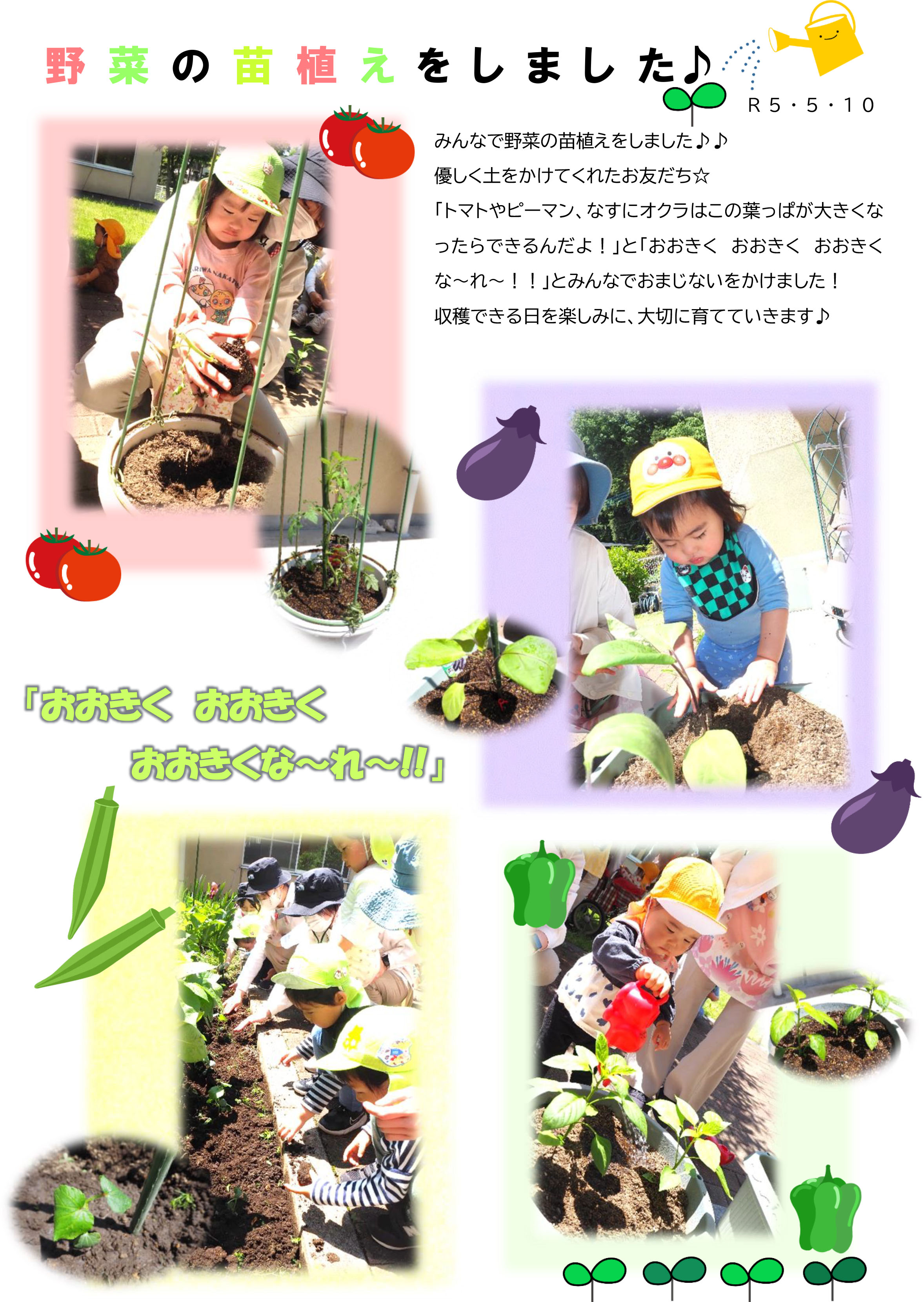 栃木県宇都宮市小規模保育園-野菜の苗植えをしました