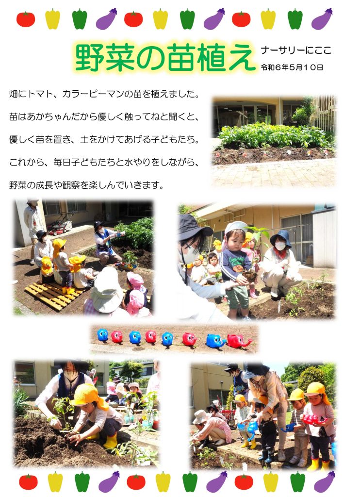 栃木県宇都宮市-小規模保育事業所-ナーサリーにここ-野菜の苗植え