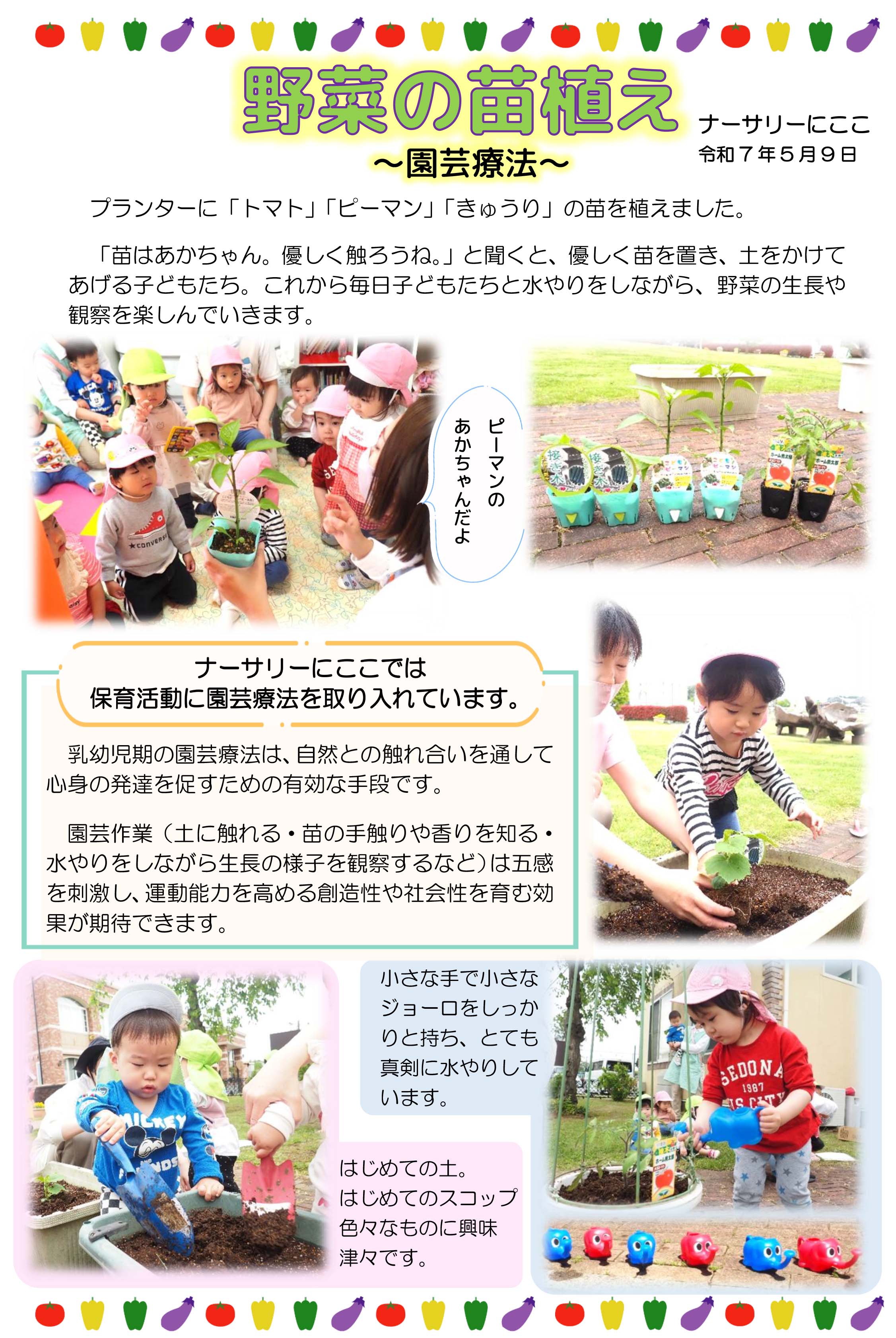 栃木県宇都宮市-小規模保育事業所-ナーサリーにここ-野菜の苗植え