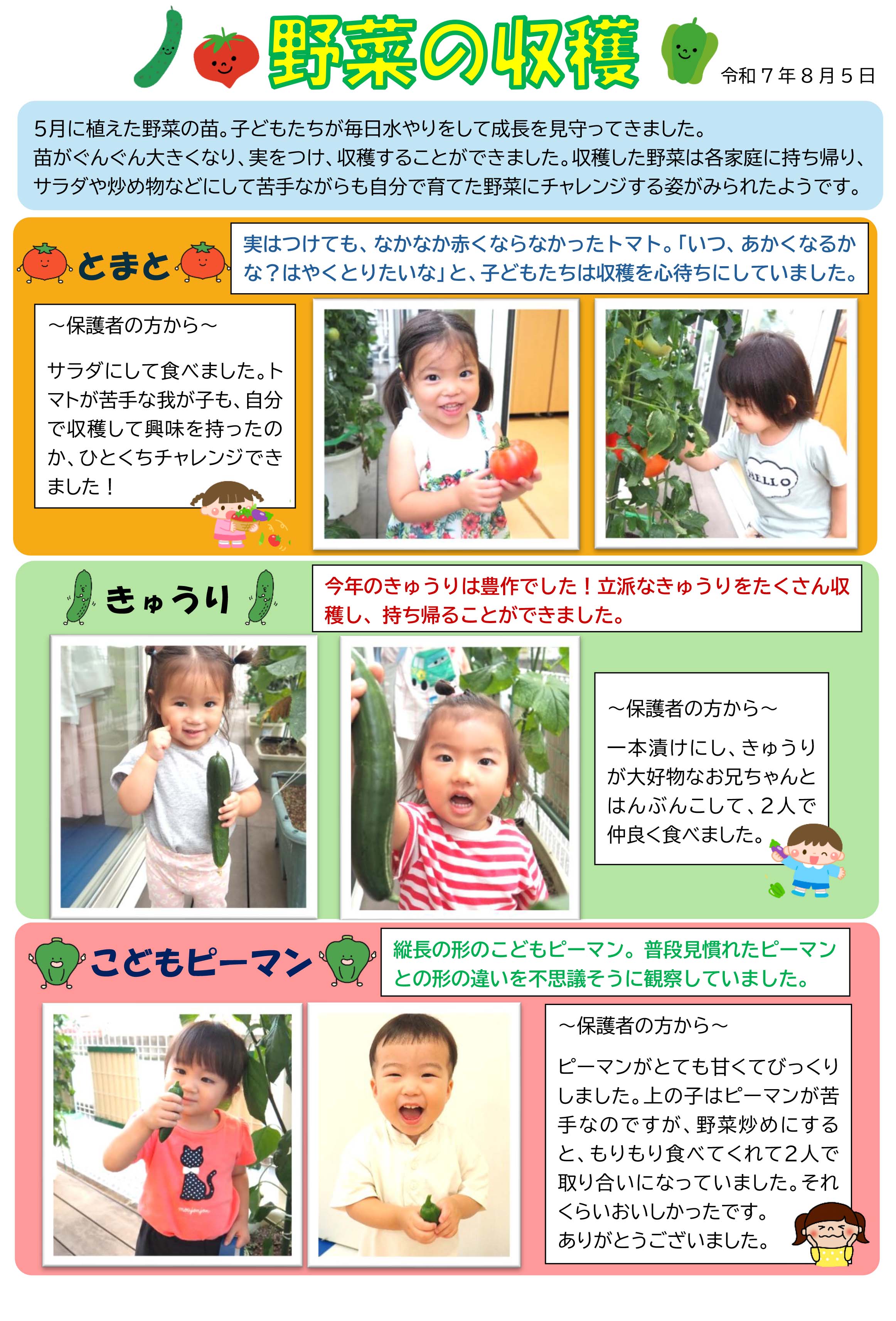 栃木県宇都宮市-小規模保育事業所-ナーサリーにここ-野菜の収穫