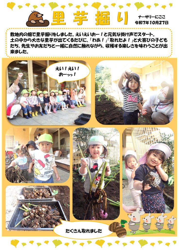 栃木県宇都宮市-小規模保育事業所-ナーサリーにここ-里芋掘り