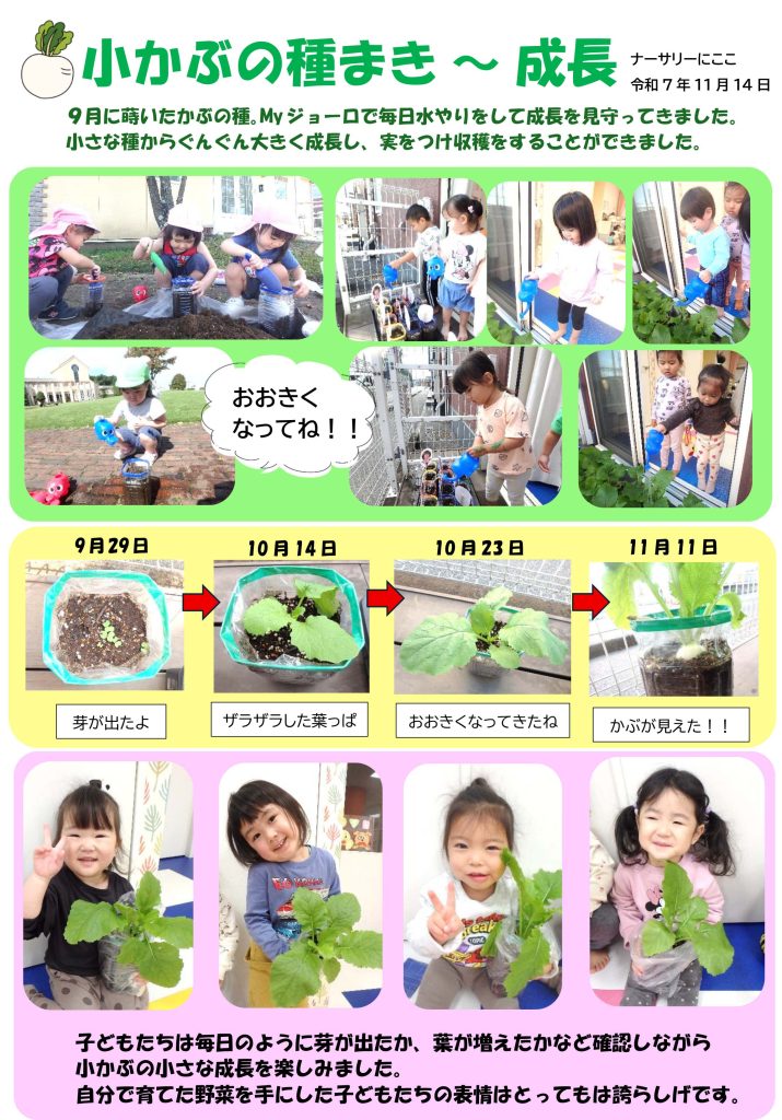 栃木県宇都宮市-小規模保育事業所-ナーサリーにここ-かぶ