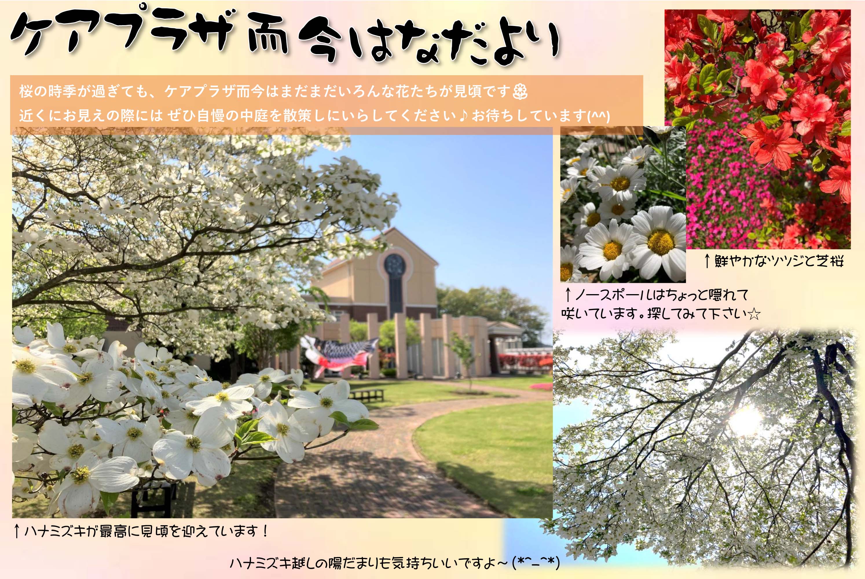 栃木県宇都宮市特別養護老人ホーム-はなだより2023春