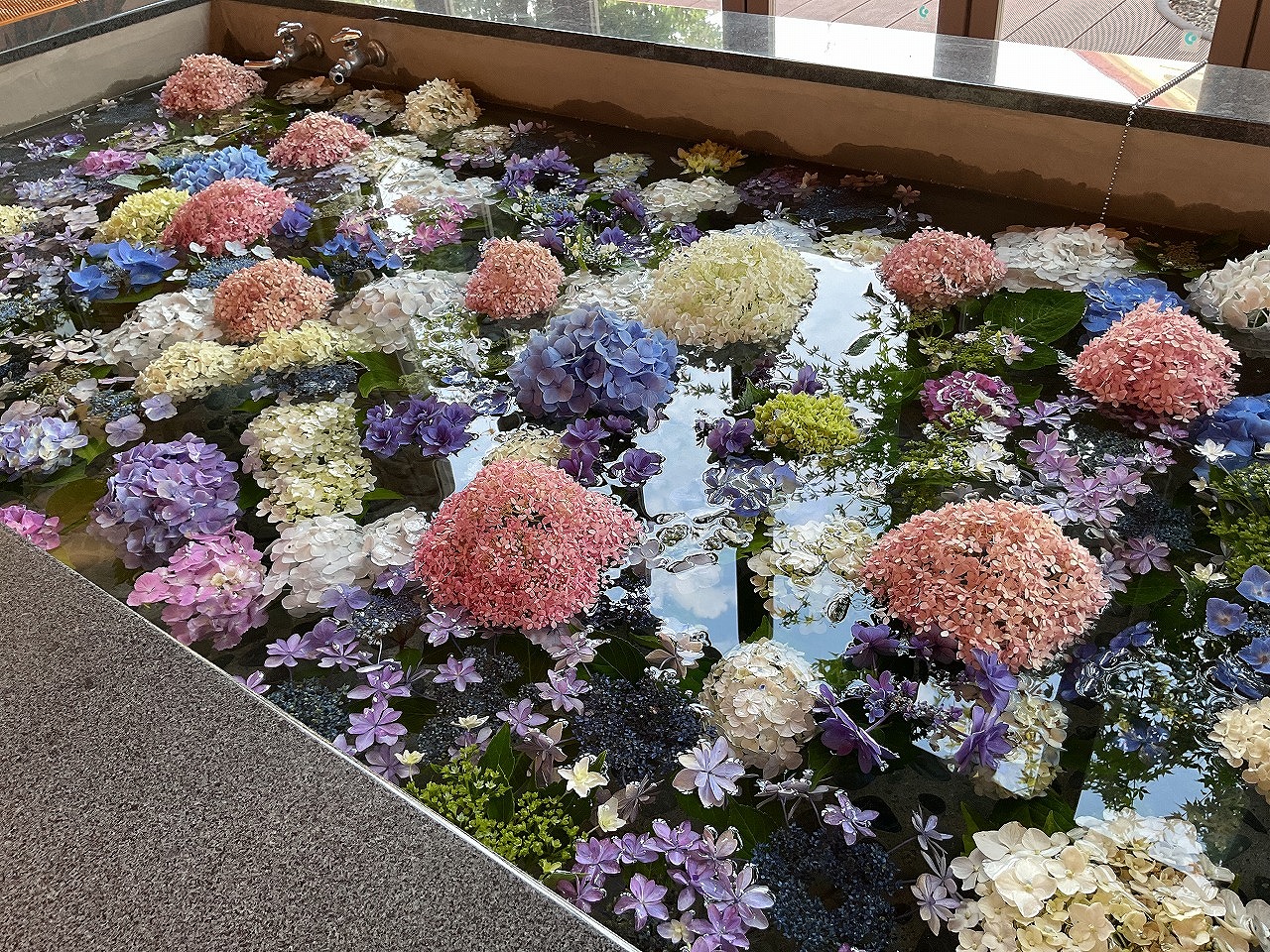 栃木県さくら市-地域密着型特別養護老人ホーム-而今桜-アンブレラスカイ-03