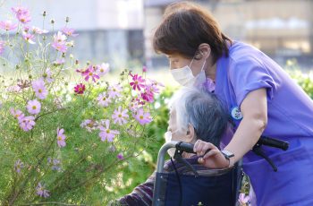 🌸コスモスが見頃です🌸